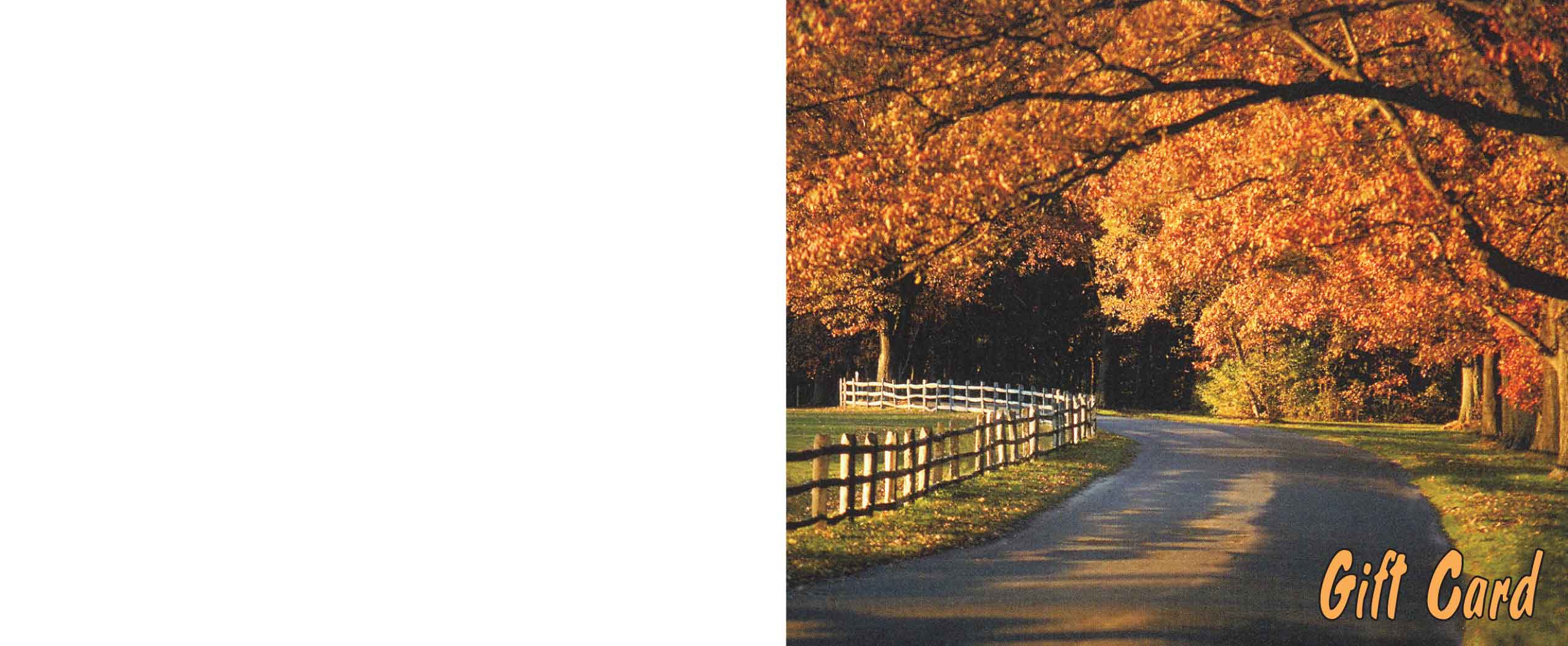 Fall